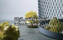 كلام عن الناس الزبالة